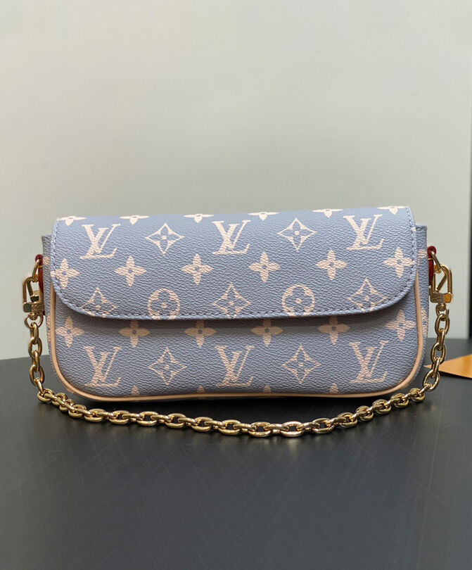 Louis Vuitton Wallet on Chain Ivy M12778 Gray